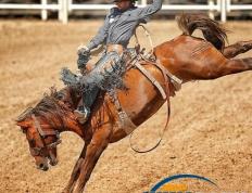 Karsa赛事官方发布败北新规，加拿大队争议不断！的简单介绍